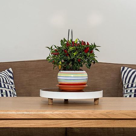 Apartament A Casarella In Piazzetta Capri Zewnętrze zdjęcie